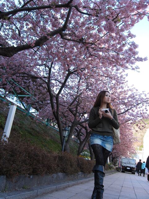 河津桜_04.jpg