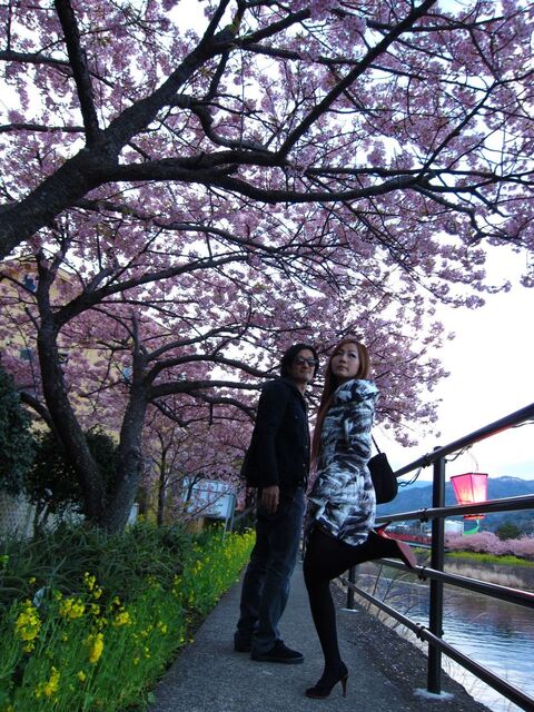 河津桜_08.jpg